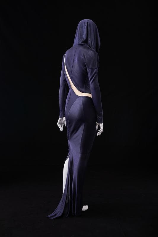 Hooded Dress